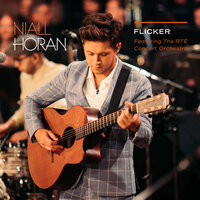 You And Me - Niall Horan & The RTE Concert Orchestra