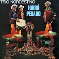 O Que e Que Voce Esta Fazendo - Trio Nordestino