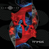 Wrapped In Guilt - Alchemist