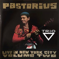 I Shot the Sherif - Jaco Pastorius