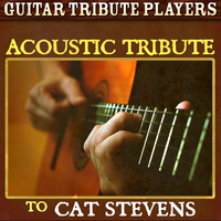 Hard Headed Woman - Guitar Tribute Players