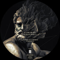 Before The Calm - Human Insect