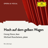 Hoch auf dem gelben Wagen - Georg Hann & Michael Raucheisen