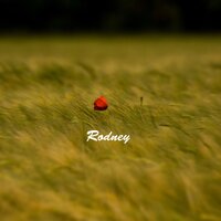 An Old Man's Dream - Rodney Carter