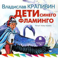 Владислав Крапивин. «Дети синего фламинго». Часть 15 - Алла Човжик