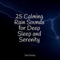 Forest, Rain, Birds, Winter - Binaural Creations & Mother Nature FX & Classical Study Music
