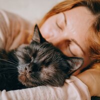 La Música Pacífica Nocturna Para Gatos - Analogía de la comedia & Academia de Música para Gatos & Trueno Tropical