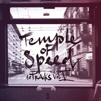 Track 18 - Tinguely dä Chnächt & Sterneis & Temple of Speed