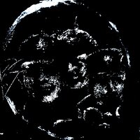 Dog - NRG