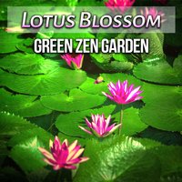 Toddler Sleep Melody - Garden of Zen Music