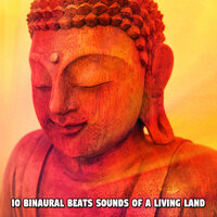 Warping Moods - Binaural Beats Isochronic Tones Lab