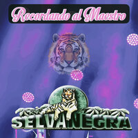 Castígame - Selva Negra