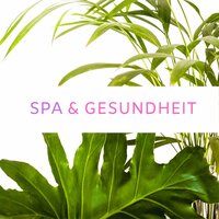 Seelenharmonie - Klangtherapie Entspannung