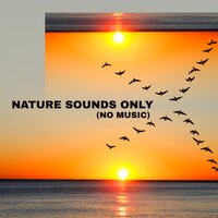 Overcome Stress - Healing Meditation Zone