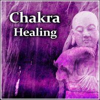 Lotus Flower - Guided Meditation Music Zone
