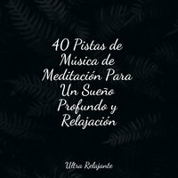 Calma Duradera - Ambiente & Canciones De Cuna Para Dormir Bebes & Naturaleza