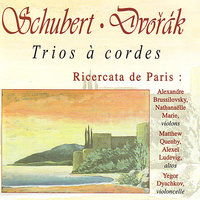 Trio, Op. 75a - "Drobnosti": II. Allegro maestoso - Alexandre Brussilovsky & Ensemble Ricercata de Paris & Антонин Дворжак