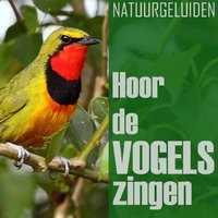 Spotvogel - De Vogels