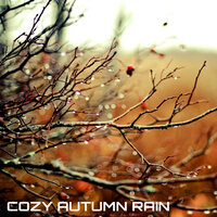 Cozy Autumn Rain - National Geographic Nature Sounds & Cozy Rain Sounds & National Geographic Soundscapes