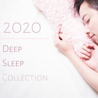 Forget Insomnia - Ultimate Bliss