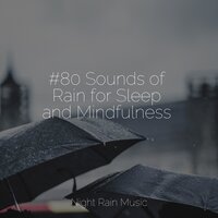 Rainy, Stormy Night - Rain Sounds Sleep & Study Zone & Nature Sounds Radio