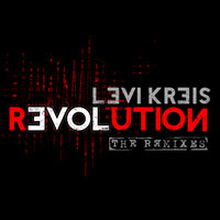 Love Revolution - Levi Kreis & q boy & No.Ma.D