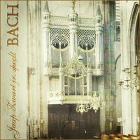 Fantasia und Fuga g-Moll, BWV 542: Fuga. Allegro moderato - Jaap Zwart Jr. & Johann Sebastian Bach