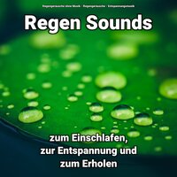 Entspannende Umgebung - Entspannungsmusik & Regengeräusche & Regengeräusche ohne Musik