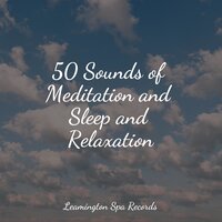 Healing Spells - Sons da natureza HD & Natural Nature Makers & Sound Sleeping