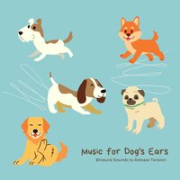 Bird Sounds in the Garden - Dog Bedtime