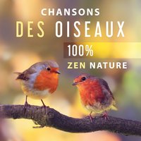 Musique d'ambiance - Musique Coeur de la Nature