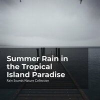 Coastal Whirlwind - ASMR Rain Sounds & Rain Sounds Nature Collection & Sleepy Rain