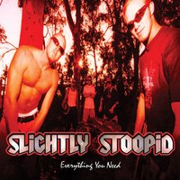 Officer - Slightly Stoopid