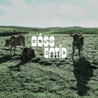 Sólskinsnætur - GÓSS