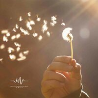 相信希望的光 - 睡觉轻音乐