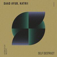 Self Destruct - Saad Ayub & Katrii