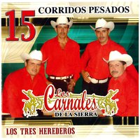Esta de Parranda el Jefe - Los Carnales de la Sierra