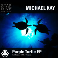 Purple Turtle - Michael Kay & Deepness