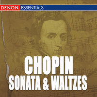 Waltz No. 1 in G-Flat Major, Op. 70 - Peter Schmalfuss & Фридерик Шопен