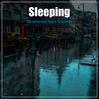 Morning Wildlife - Rain Forest FX, Pacific Rim Nature Sounds, Nature Chillout & Pacific Rim Nature Sounds & Nature Chillout & Rain Forest FX