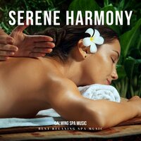 Moonlit Lullaby - Best Relaxing Spa Music