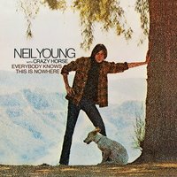 Cinnamon Girl - Neil Young & Crazy Horse