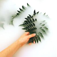 One Deep Breath - Academia de Música para Massagem Relaxamento & Wellness & Massage