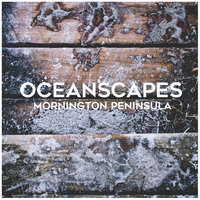 Sandy Beach Waves - Oceanscapes