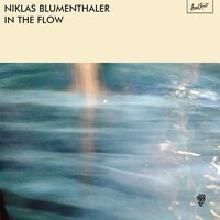 In The Flow - Niklas Blumenthaler