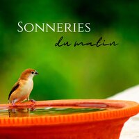 Ouvre tes yeux - Ensemble de Musique Zen Relaxante
