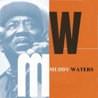 I'm Your Hoochie Coochie Man - Muddy Waters & Gene Barge & Phil Upchurch & Roland Faulkner & Pete Cosey & Charles Stepney