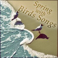 Sweet Bird Singing - Awesome Nature Sounds Ensemble