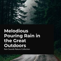 Cloudburst in the Wilderness - ASMR Rain Sounds & Rain Sounds Nature Collection & Sleepy Rain