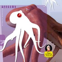 Drrrumms! - Gerald Benesch